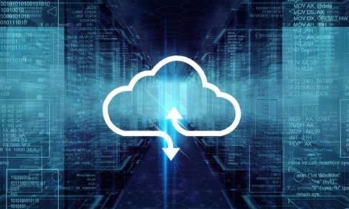 新紐科技 軟件賽道的新星，能否在SaaS領域一騎絕塵？